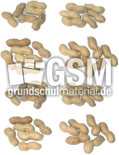 Erdnüsse-8x6.jpg
